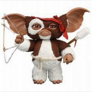 Meet your Posher, Lynn